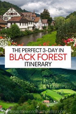 visit black forest by train