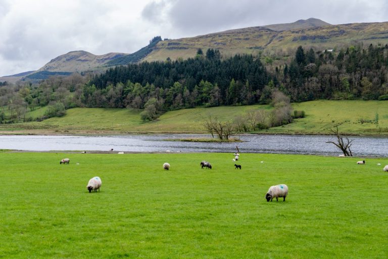 The Perfect 1, 2, or 3 Days in Belfast Itinerary - The World Was Here First