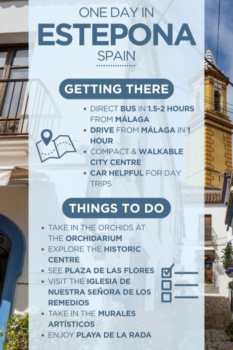 An infographic outlining the highlights of spending a day in Estepona