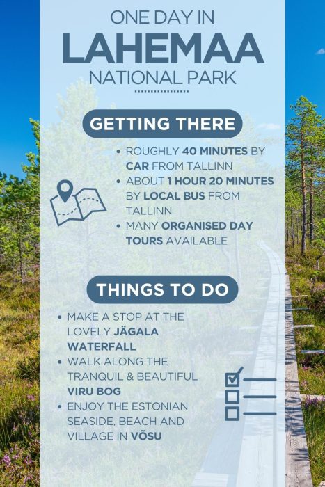 An infographic outlining the highlights of spending a day in Lahemaa National Park, Estonia